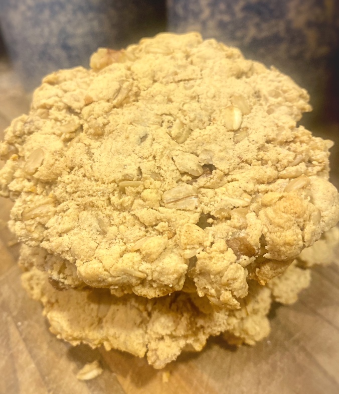Oatmeal Protein Cookie